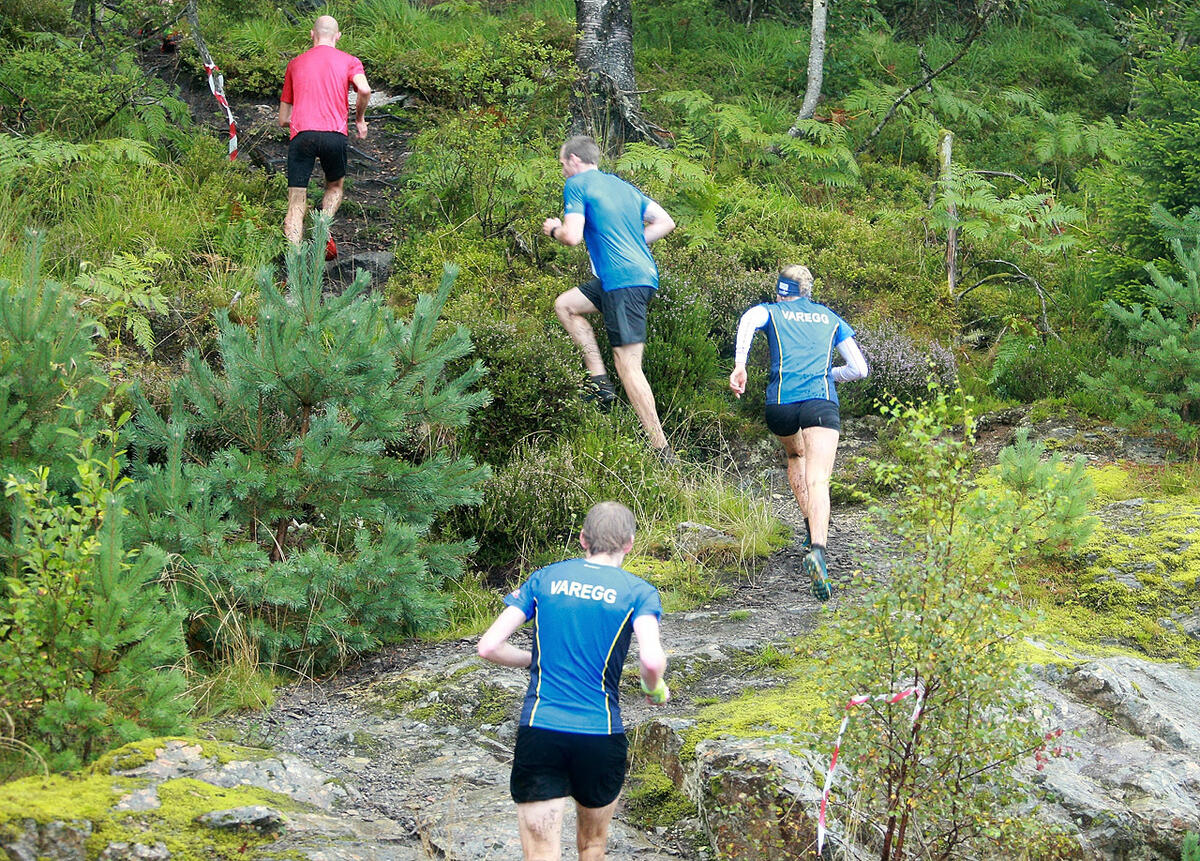 Lang_tre_varegg-loepere_1280_AZ3T2668
