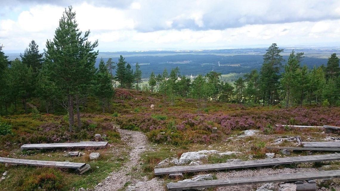 Utsikten nordover fra mål på Skåråsberget. (Foto: Bente Myhr)