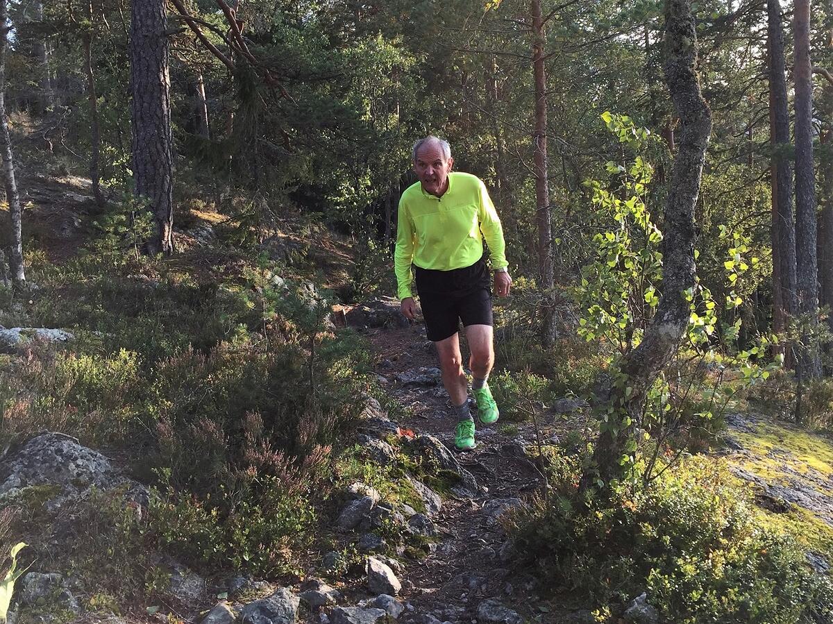 Knut_Aasen