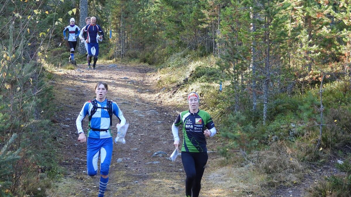 Huldertrampl¢pere mot matstasjon