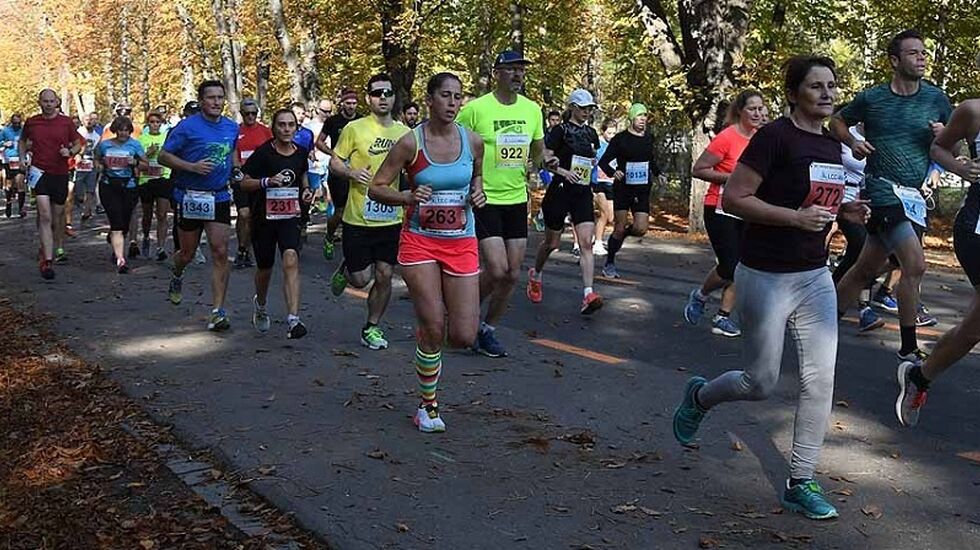 Fra årets Wien høstmaraton og Prater Hauptallee som går i kilometerlange rette strekk og er praktisk talt uten  høydeforskjeller (Foto:LCC-Wien).