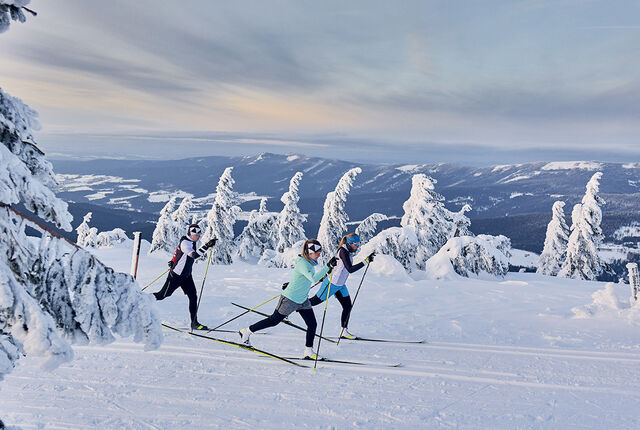 Kondis har testet topp klassiskski og staver til langrenn. (Foto: Fischer)