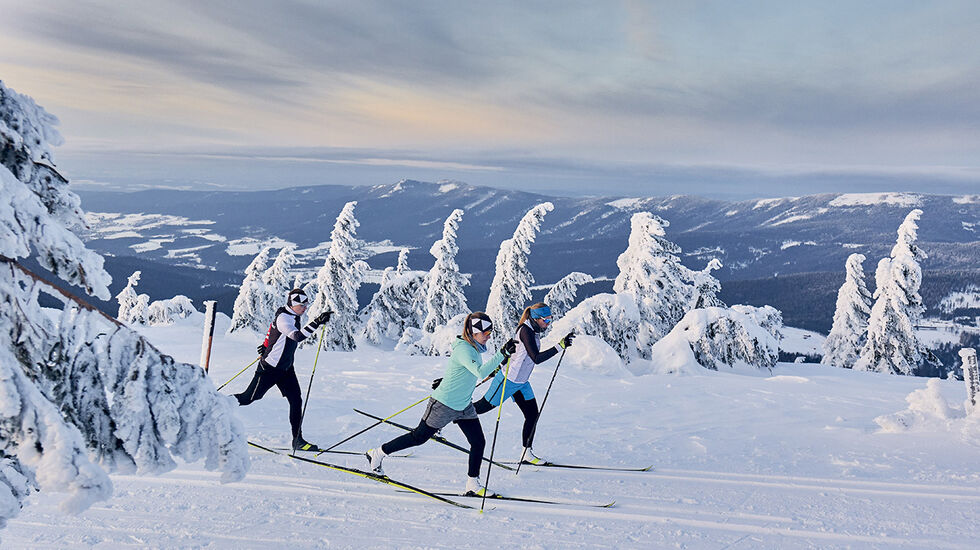 Kondis har testet topp klassiskski og staver til langrenn. (Foto: Fischer)