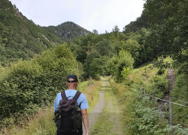 Sjølv på sitt mest idylliske er det ikkje berre solskinshistorier gamlevegen fortel. (Foto: Runar Gilberg)