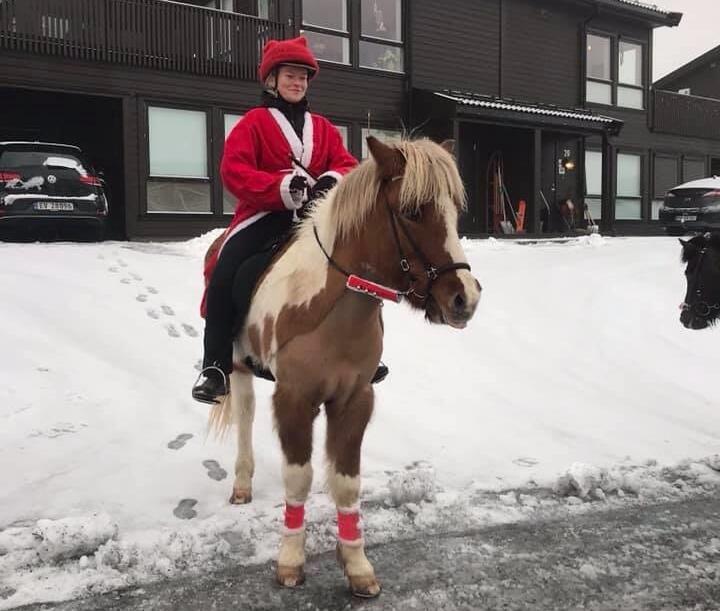 Hest_og_nisserytter