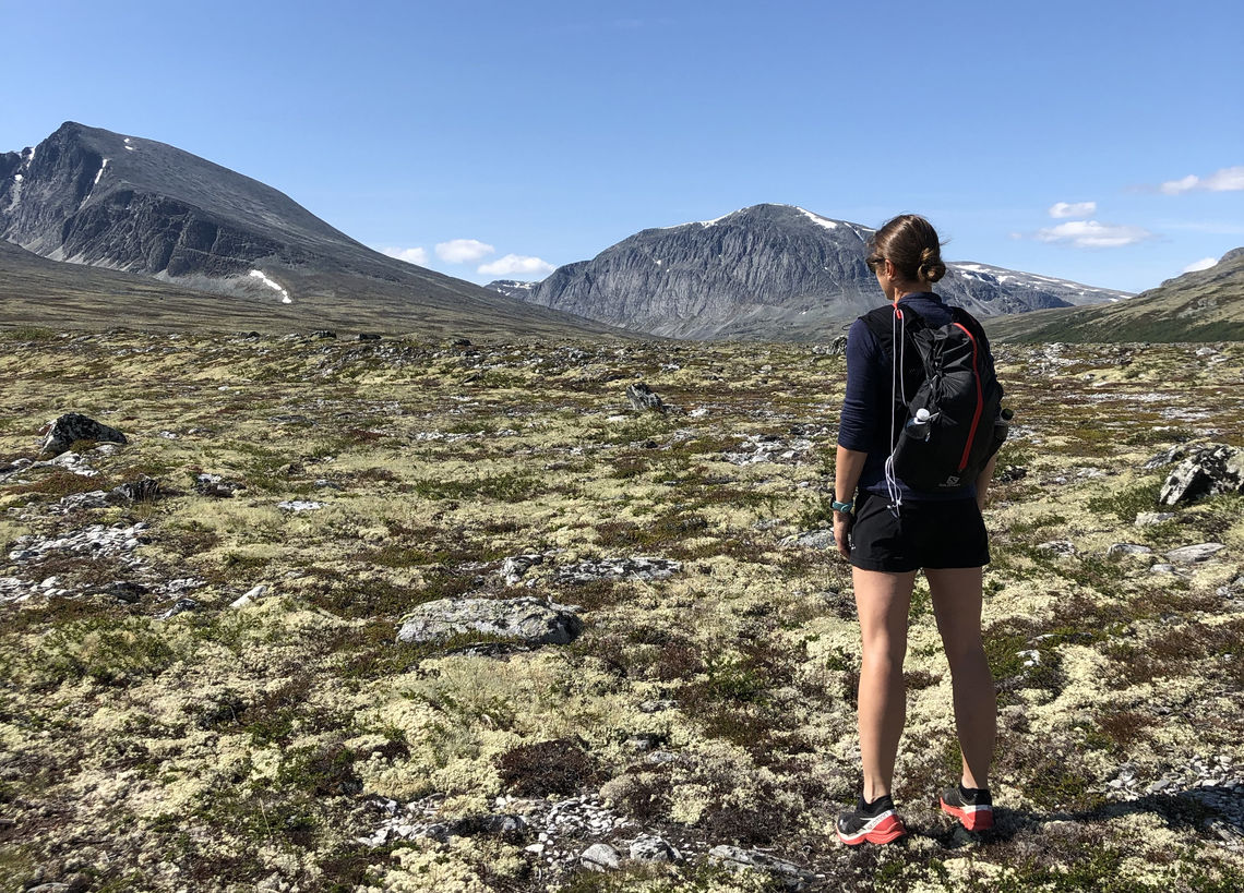 Inger Haugland fra Folldal skuer utover mot løpsterrenget der hun selv skal løpe 100 miles i august. (Foto: Erik Haugland)