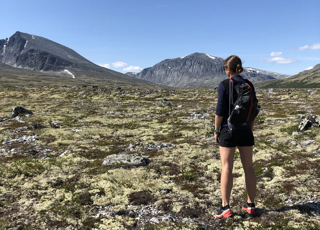 Inger Haugland fra Folldal skuer utover mot løpsterrenget der hun selv skal løpe 100 miles i august. (Foto: Erik Haugland)