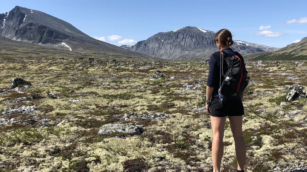 Inger Haugland fra Folldal skuer utover mot løpsterrenget der hun selv skal løpe 100 miles i august. (Foto: Erik Haugland)