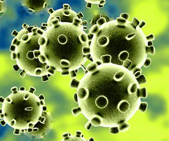 voronavirus.png voronavirus.png