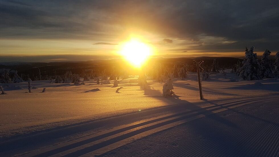 Stemningsbilde tirsdag morgen fra det andre rennet i langdistansecupen, Trysil Skimaraton på Østby, kommende lørdag 15. februar. (Foto fra Trysil Skimaratons facebookside)