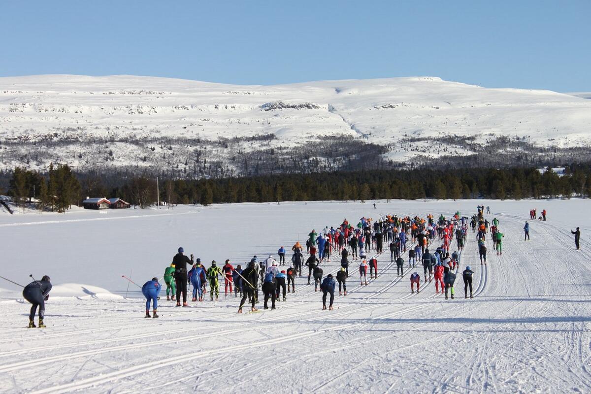 Rondane i bakgrunnen
