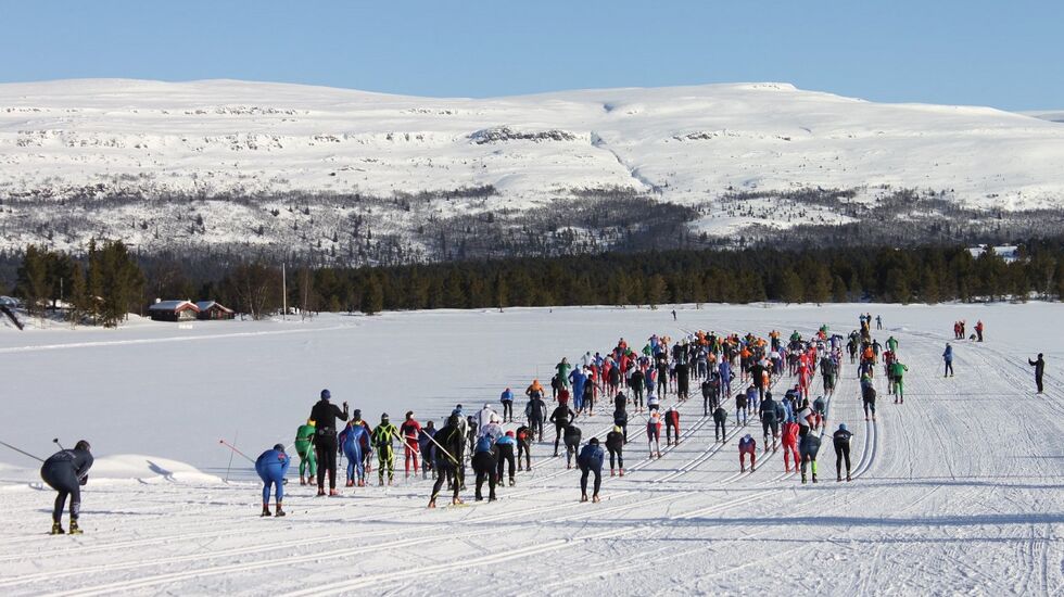 Rondane i bakgrunnen