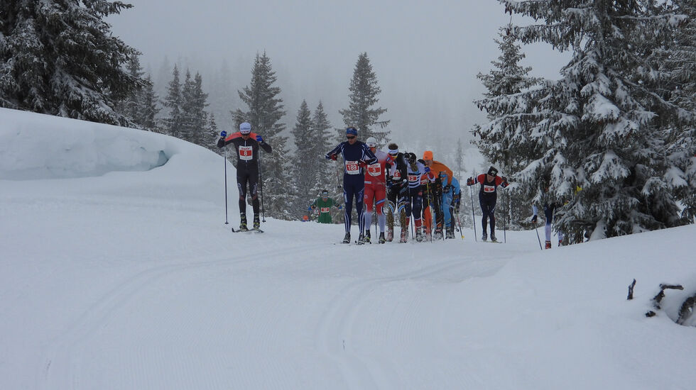 Alle foto: Stein Arne Negård