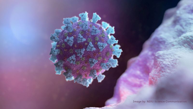 Corona virus. Bilde er hentet fra NRK Coronavirusnrk