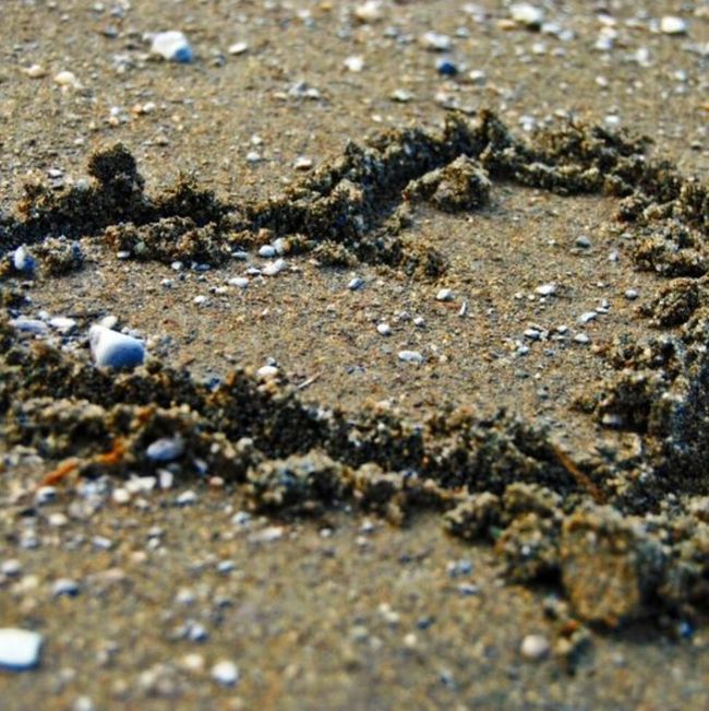 Hjerte i sand. Foto: Marit Ofstad