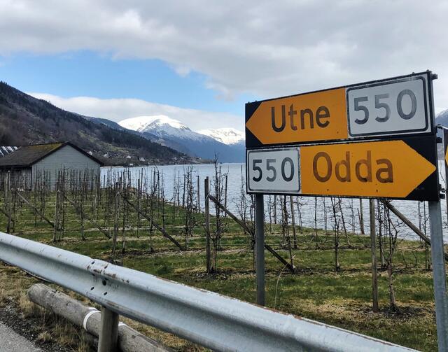 Maraton fra Utne til Odda ble antagelig for første gang gjennomført i april. (Foto: Grete Lothe)