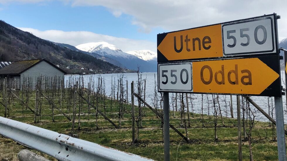 Maraton fra Utne til Odda ble antagelig for første gang gjennomført i april. (Foto: Grete Lothe)