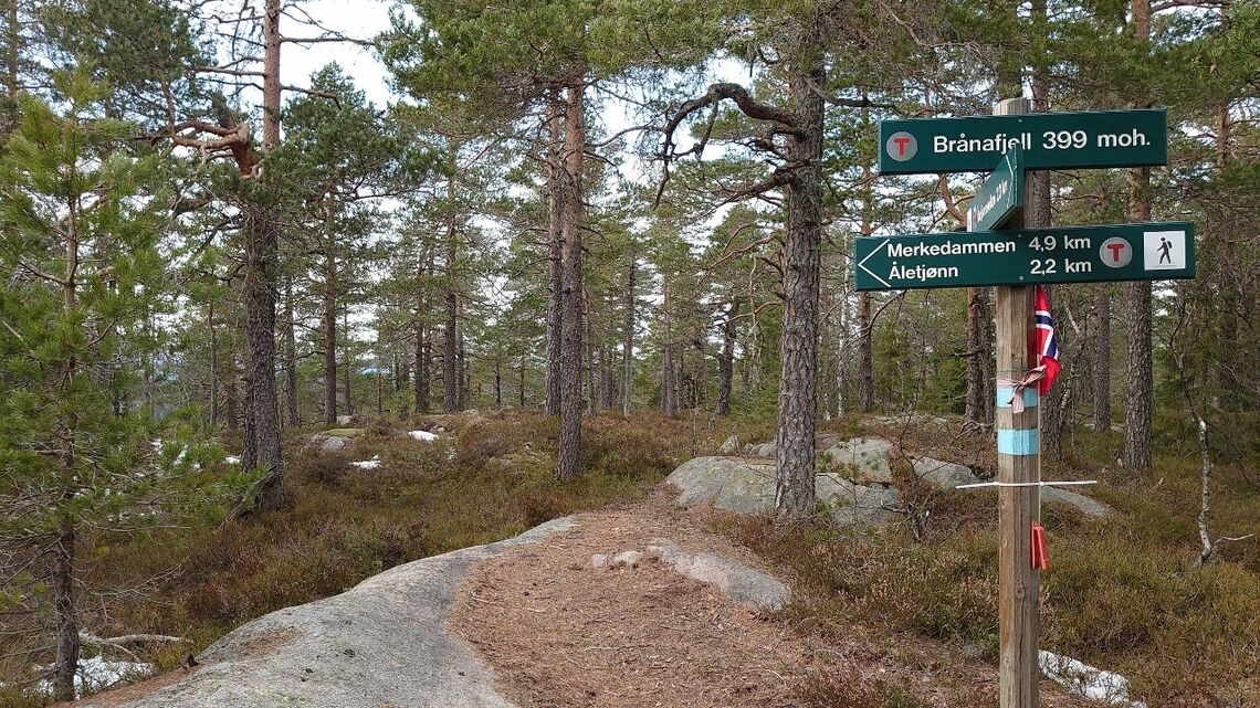 Brånafjell, her er det bare 33 km igjen til mål for alle tre løypene. (Foto: Arne Nåtedal)