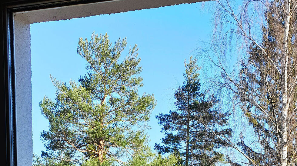 Det blir ikkje det same å sjå skogen og den blå himmelen gjennom glaset, som å komma seg ut, springe av garde og kjenne sola varme. (Foto: Runar Gilberg) 