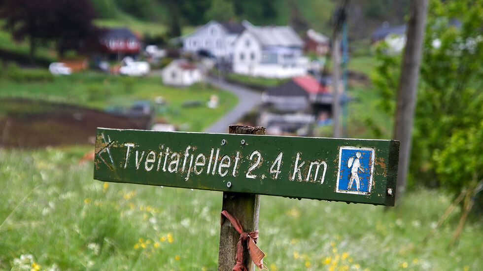 Tveitafjellet Opp er 3,8 km langt med en høydeforskjell på 516 meter. Midtveis passeres noen gårder i et litt flatere parti. (Foto: Arne Dag Myking)