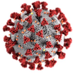 Illustrasjon koronavirus