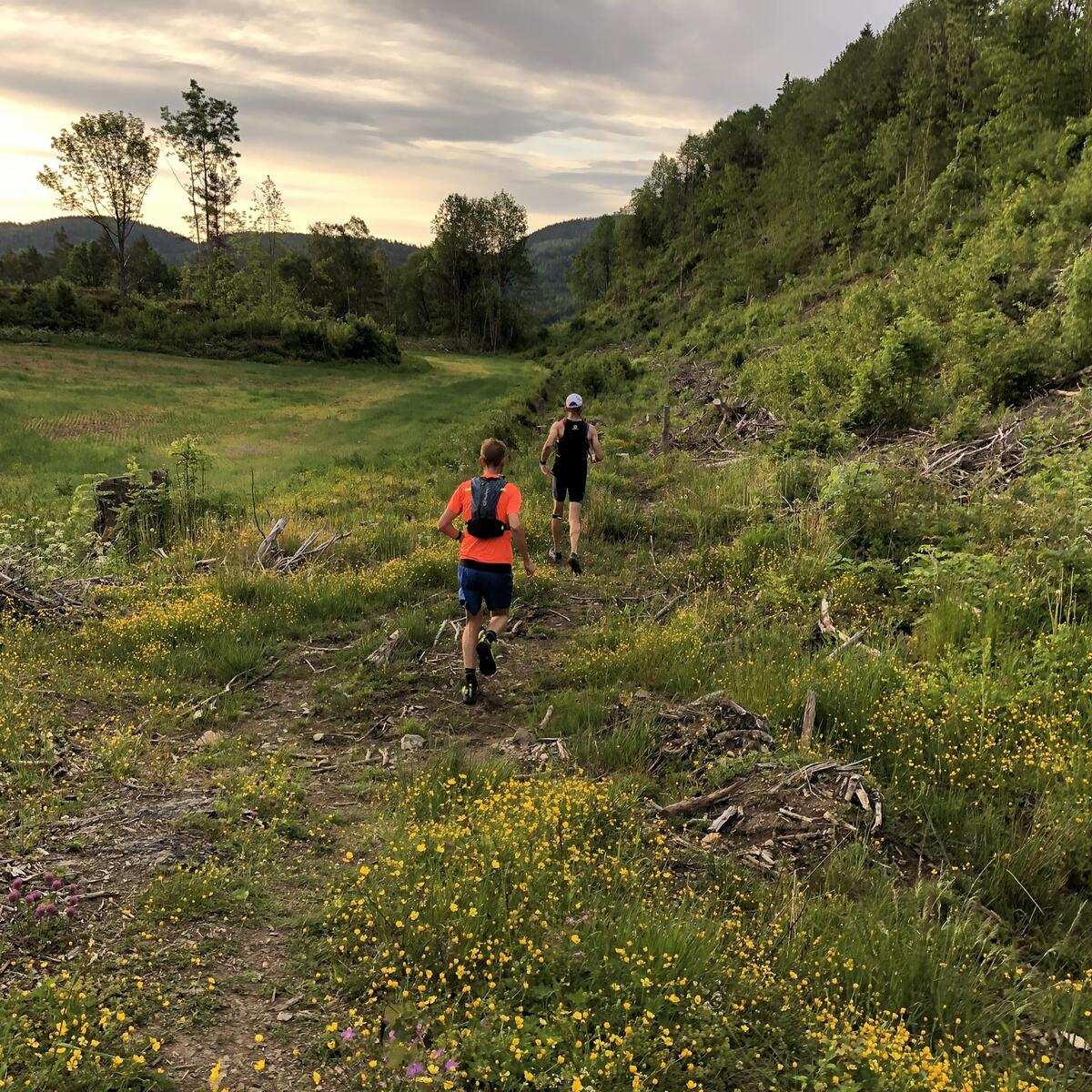Morgenstemning_ved_Klepp