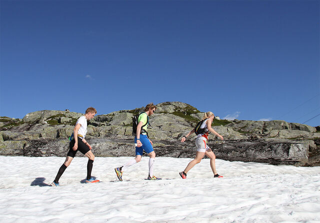 Solstråler: Om sommeren er gjerne sola den beste D-vitaminkilden. (Foto: Espen Ringom)