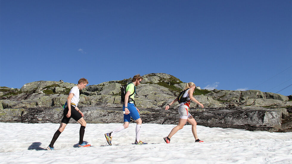 Solstråler: Om sommeren er gjerne sola den beste D-vitaminkilden. (Foto: Espen Ringom)