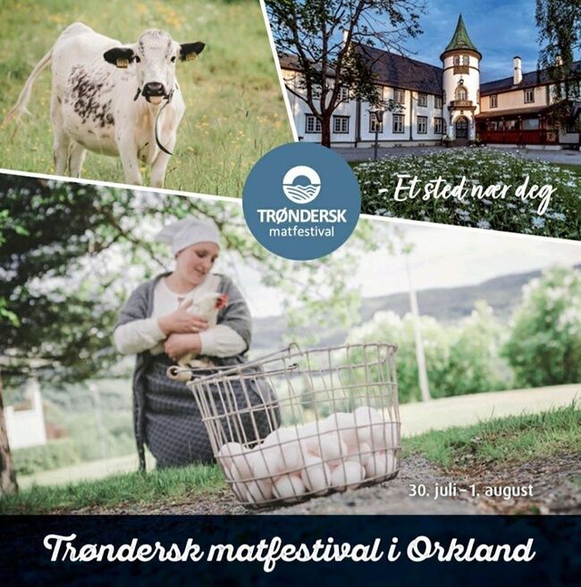 Matfestival i Orkland 2020