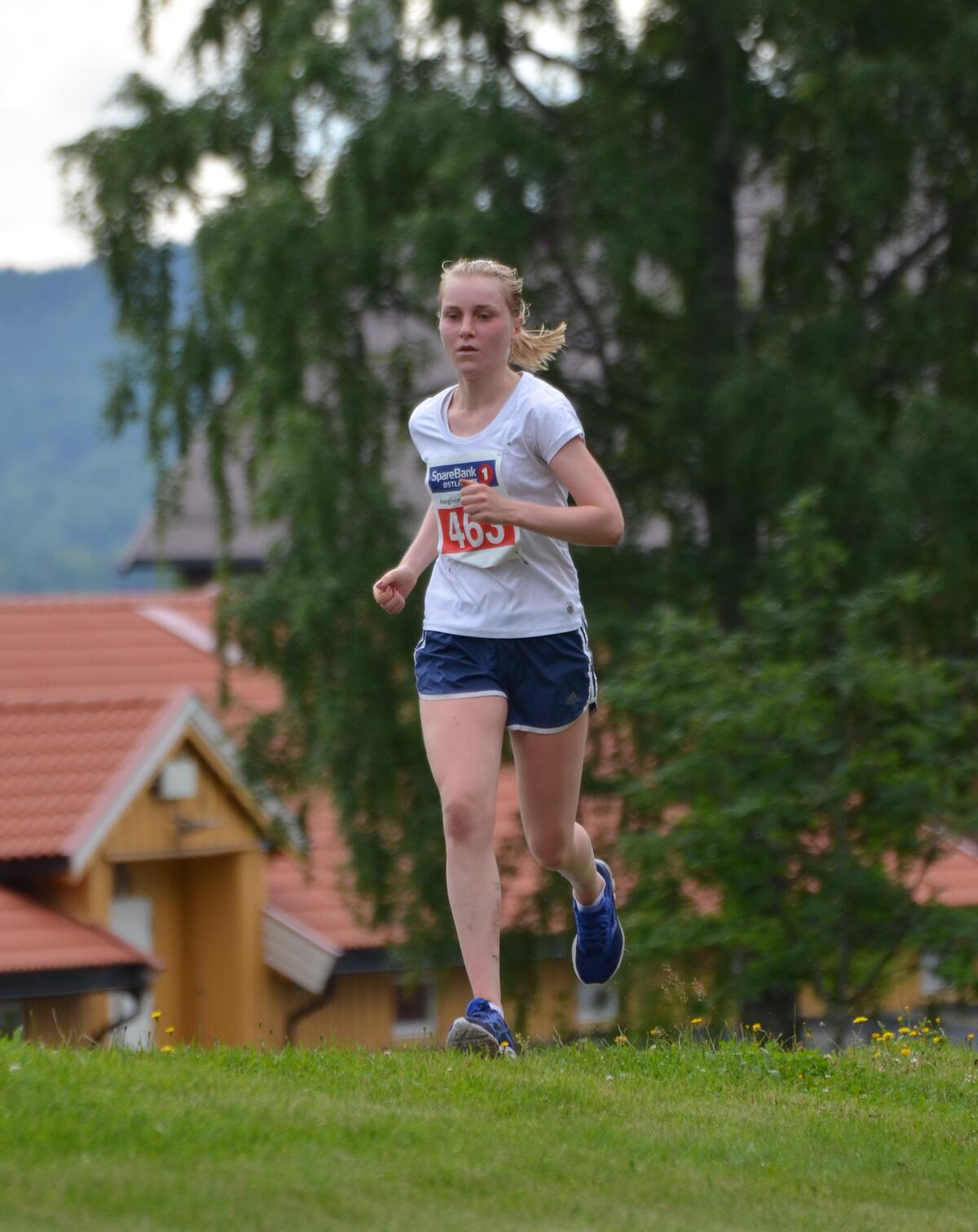 Kongsvingermila-siste bakken (16)