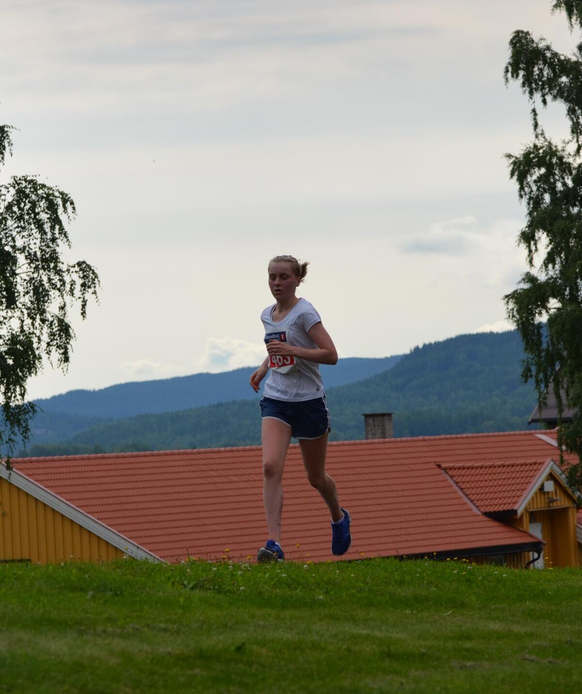 Kongsvingermila-siste bakken (18)