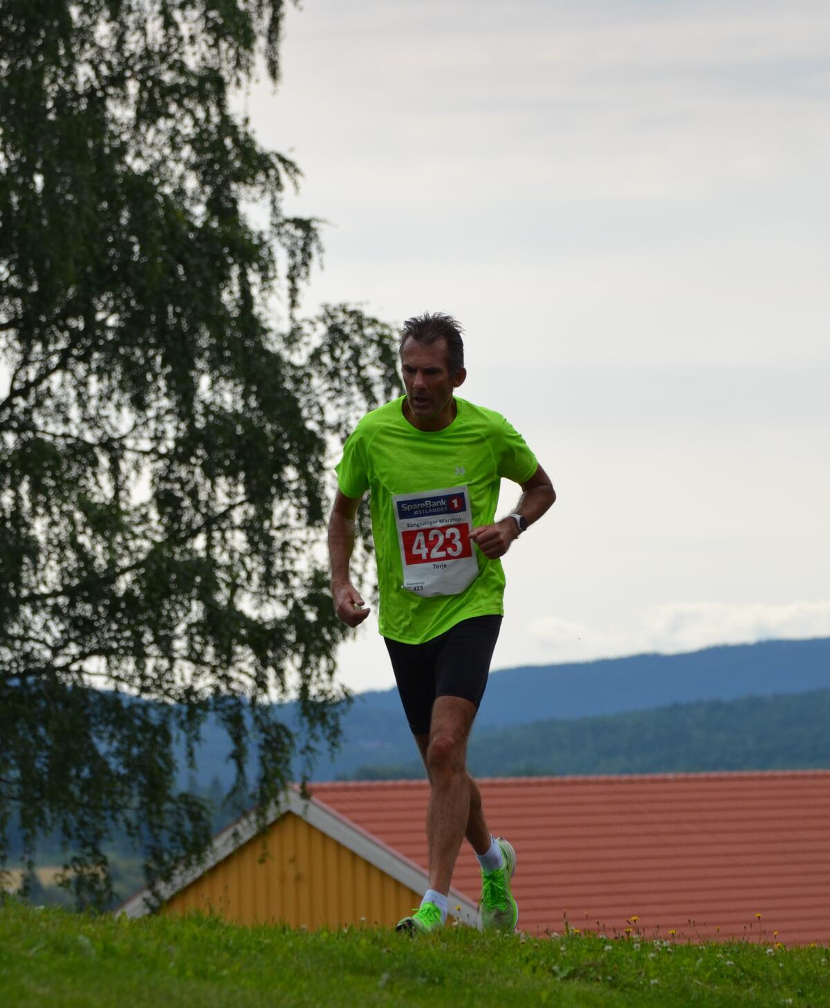 Kongsvingermila-siste bakken (26)