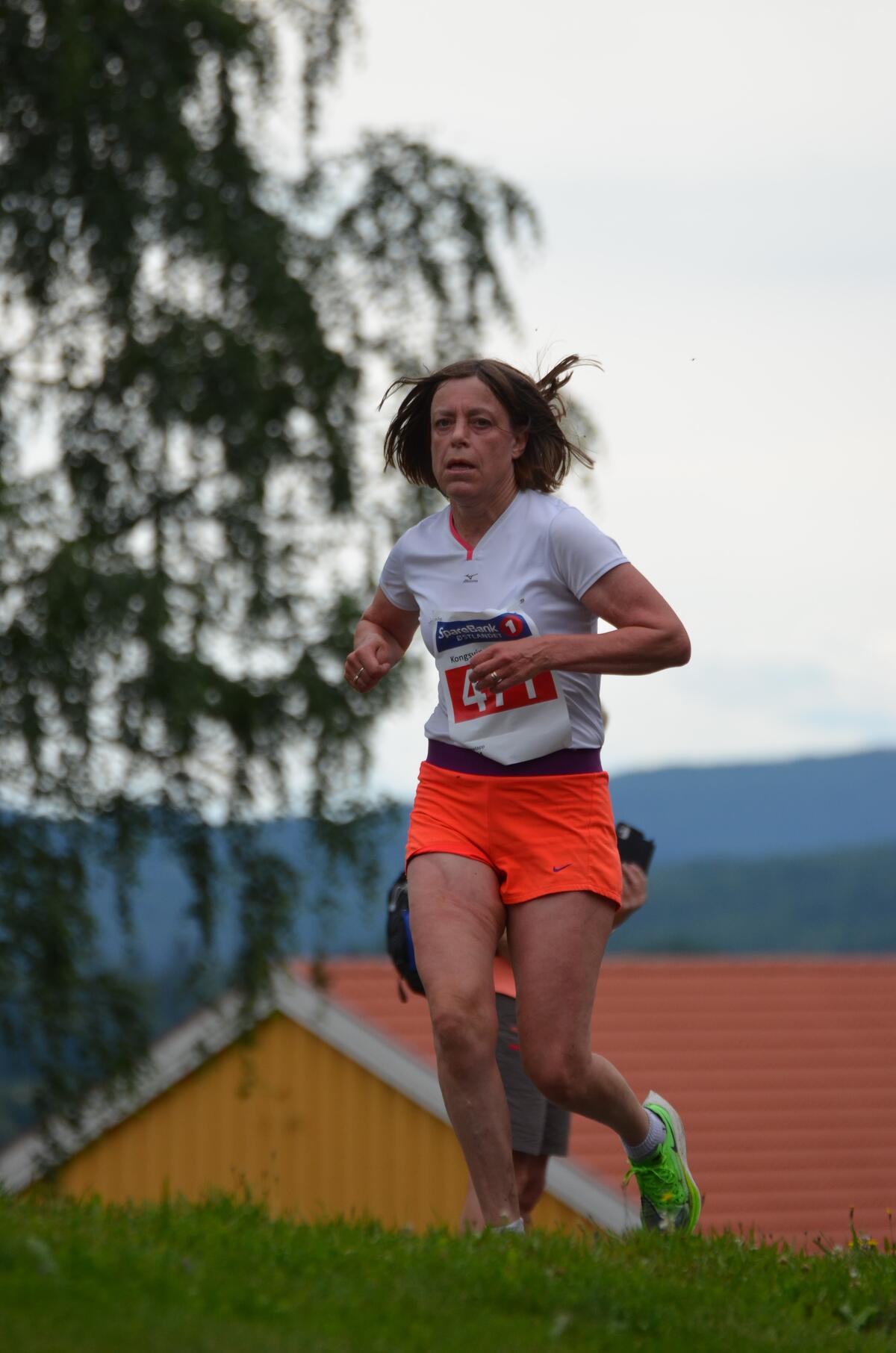 Kongsvingermila-siste bakken (56)