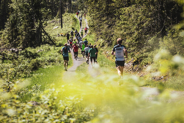 Tidligere i år har både rennet og rittet blitt avlyst. Nå er det også besluttet at også Birkebeinerløpet avlyses. Alle tre arrangementene på grunn av smittefare og koronapandemien. (Foto: Birken/Sportograf)