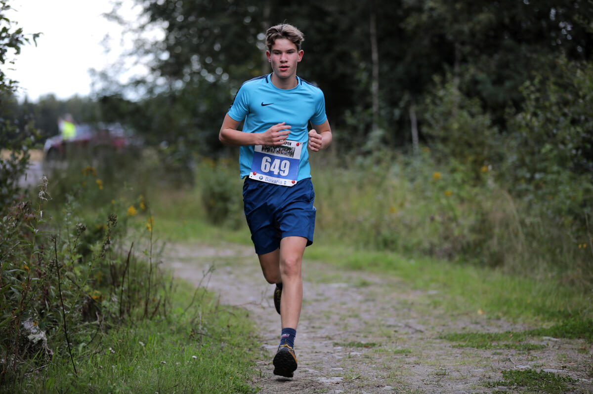 Henrik Tomtsveen