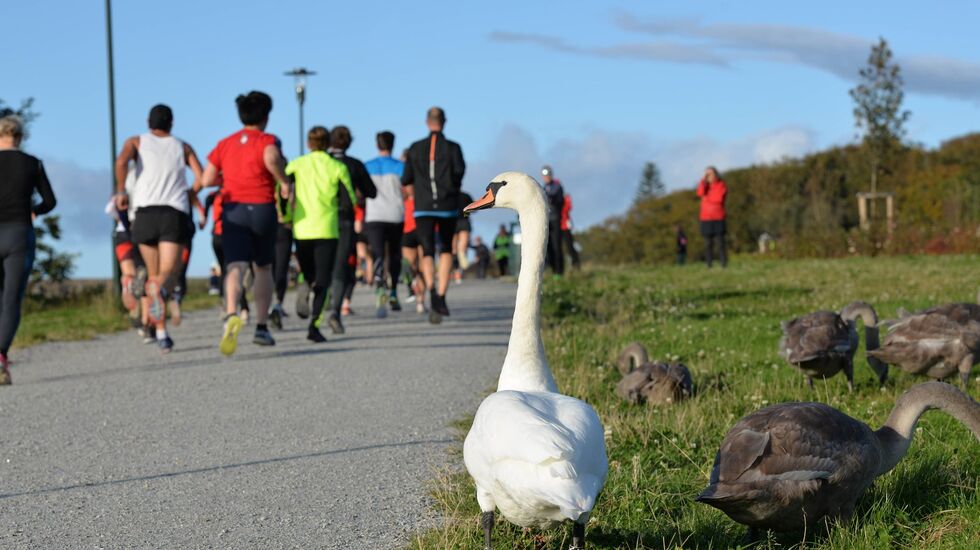 Løpere og tilskuere i fjorårets løp rundt Mosvannet. (Foto: Arrangøren)