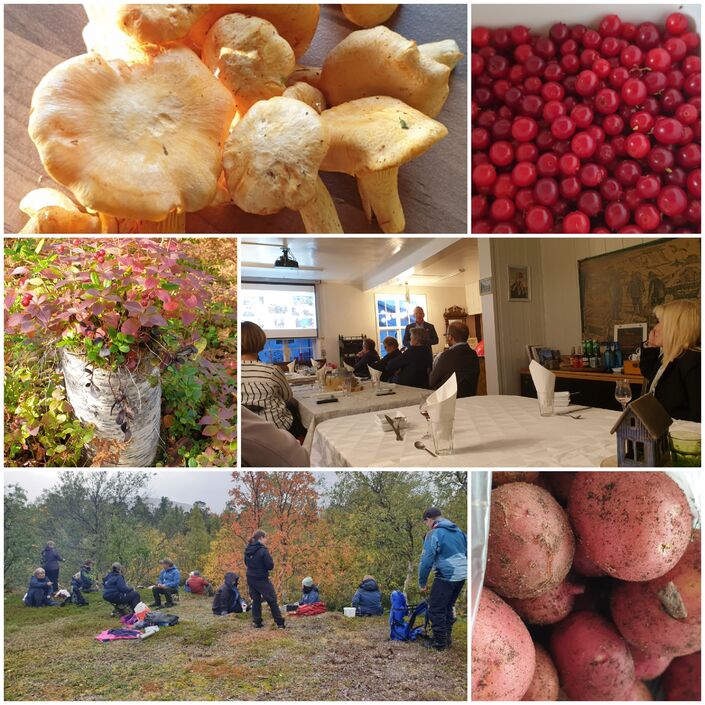 Nypoteter fra hyttenabo, kantaerller, tyttebær, kulturminnetur og fylkesstyre KS middag på Antikstore :) Nypoteter fra hyttenabo, kantaerller, tyttebær, kulturminnetur og fylkesstyre KS middag på Antikstore :)