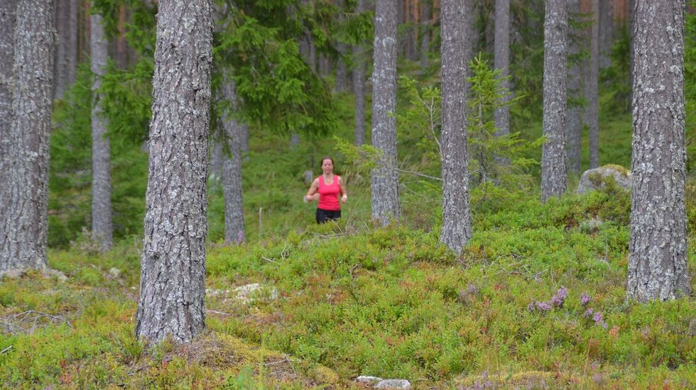 Risberget Rundt 2020 (1)