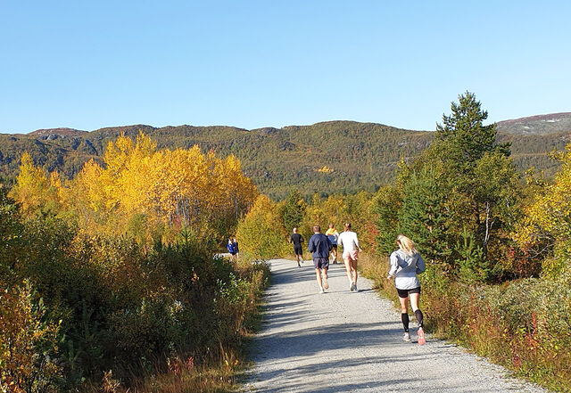 Den 10 km lange løypa rundt Ustedalsfjorden er småkupert og idyllisk. Her inspiseres deler av den på oppvarminga. (Foto: Runar Gilberg)