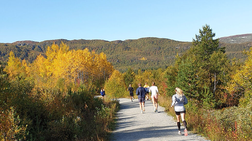 Den 10 km lange løypa rundt Ustedalsfjorden er småkupert og idyllisk. Her inspiseres deler av den på oppvarminga. (Foto: Runar Gilberg) 