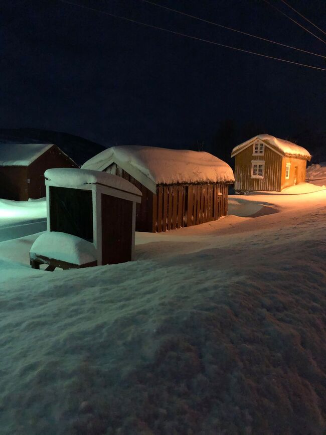 Melkerampe med snø ©Evy Hansen