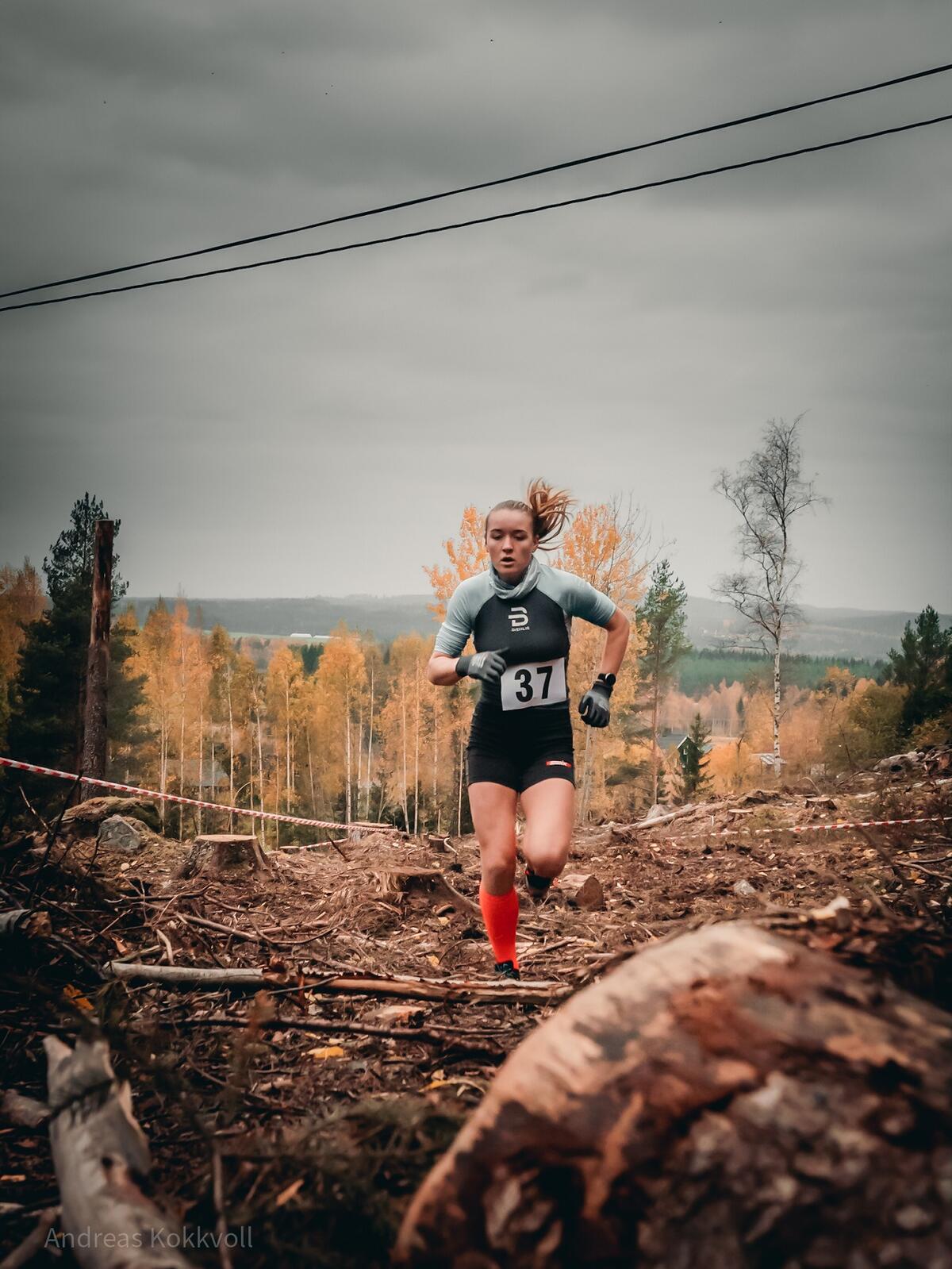 FOREST RUN Elverum 2020