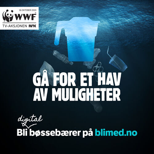 Gå for et hav av muligheter - bli digital bøssebærer Gå for et hav av muligheter - bli digital bøssebærer