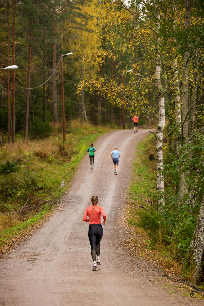 2020-10-10_1134_7254-Kupert_løype