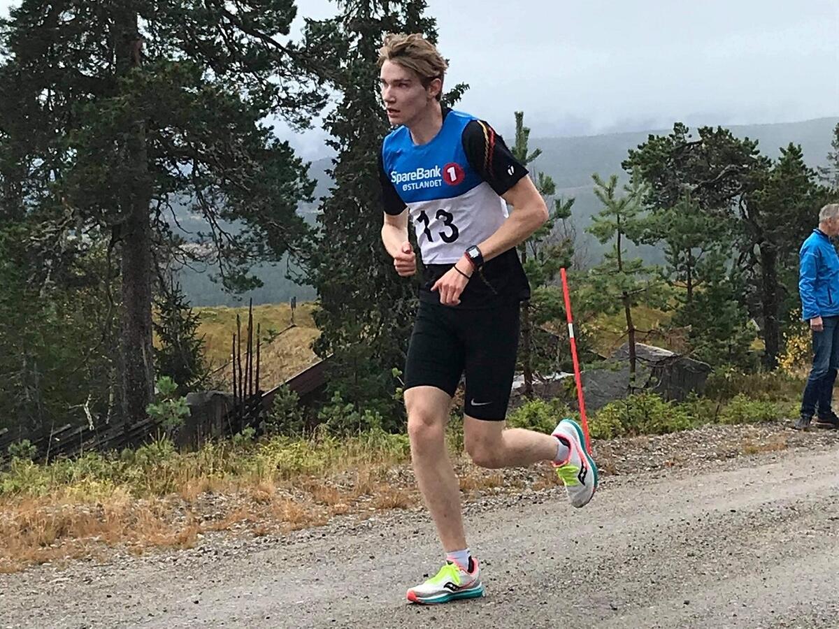 Hallvor Mikkelsen ingress