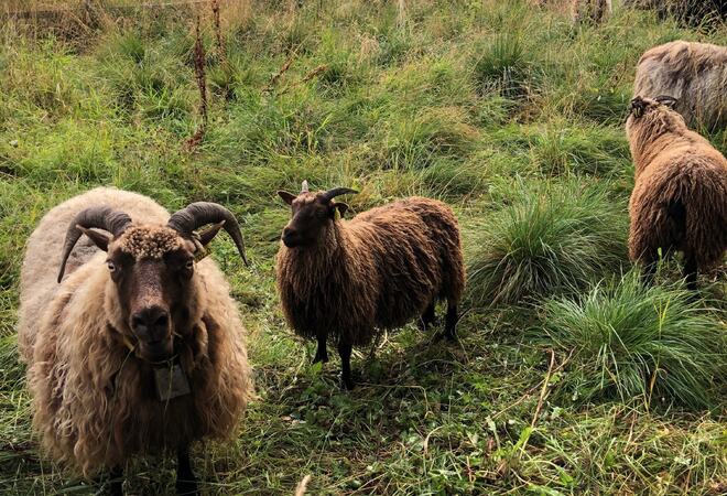 ©Evy Hansen Sauer ©Evy Hansen