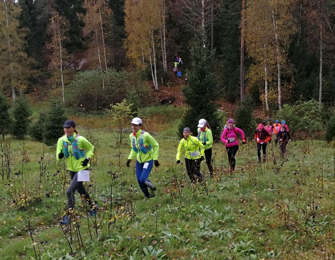 Løperne på lang rekke mens feltet ennå var samlet. (Foto: Anders Baumberger)
