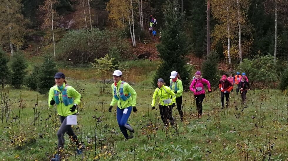 Løperne på lang rekke mens feltet ennå var samlet. (Foto: Anders Baumberger)