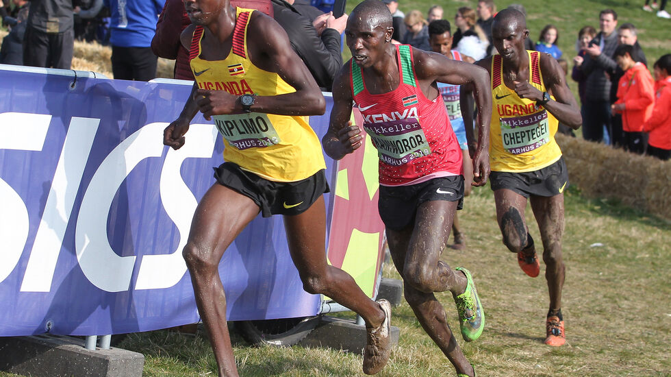 To forgrunnsfigurer i lørdagens VM i halvmaraton, Jacob Kiplimo og Joshua Cheptegei og mellom dem halvmaratonkongen Geoffrey Kamworor. Bildet er fra VM i terrengløp i Århus i fjor hvor de ble nr. 1, 2 og 3. (Foto: Kjell Vigestad)