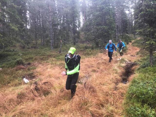 Ultraløpere i et ganske fint parti, det var verre med myrene på Hedmarksvidda. (Arrangørfoto)